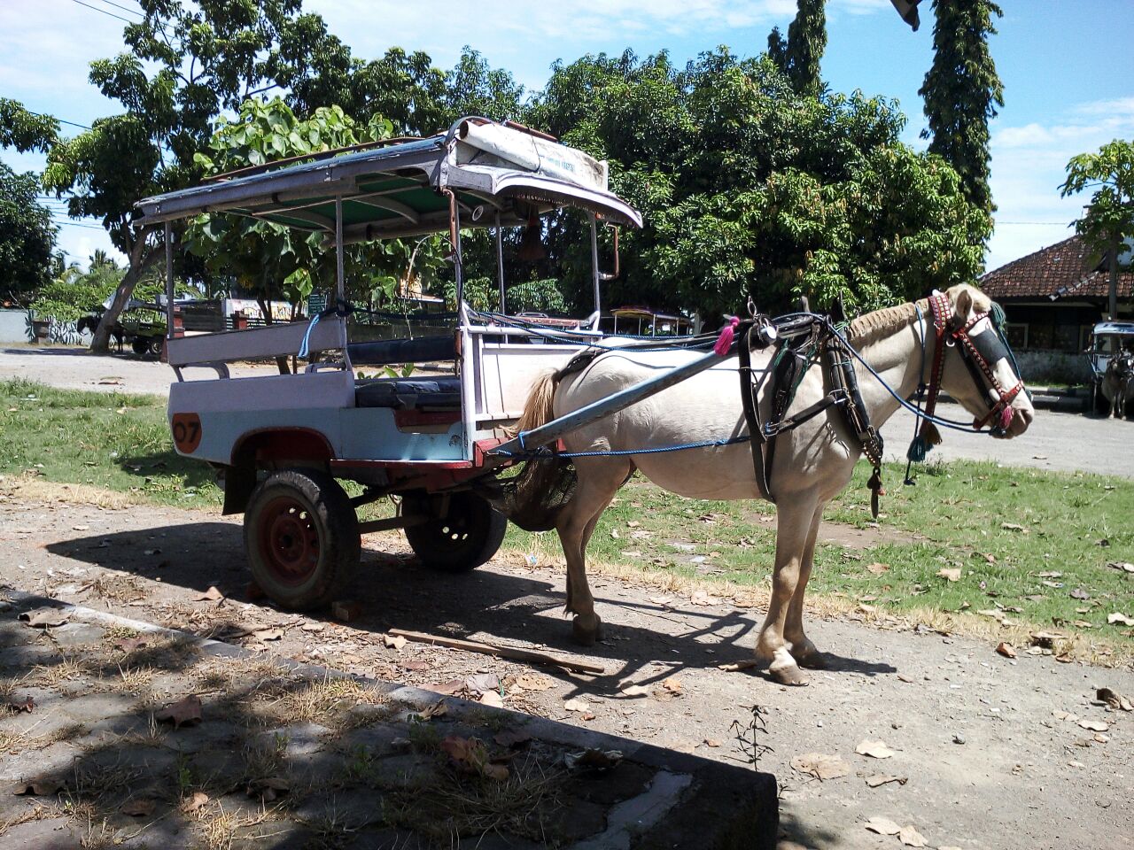 Daniel Emet, Lalu Mintarja, dan Proyek Cidomo