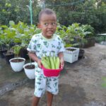 Mengapa Saya Berkebun?